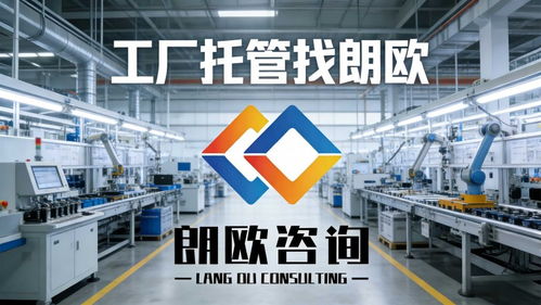 朗歐咨詢 電子企業管理升級的專家伙伴，助力企業突破瓶頸實現高質量發展